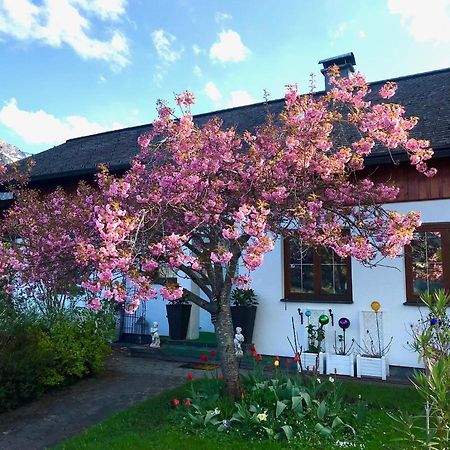 Haus Belli Villa Bad Aussee Eksteriør billede