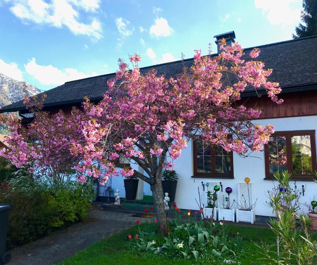 Haus Belli Villa Bad Aussee Eksteriør billede
